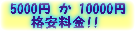 完全低価格定額にて記帳代行いたします 完全低価格定額にて記帳代行いたします