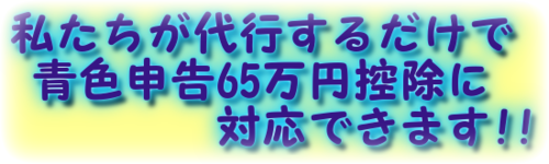 65万円の控除が出来ます